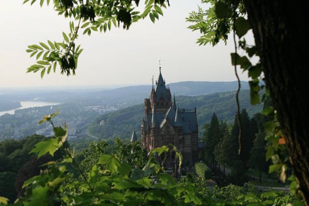 229442_213768318642444_4627886_n