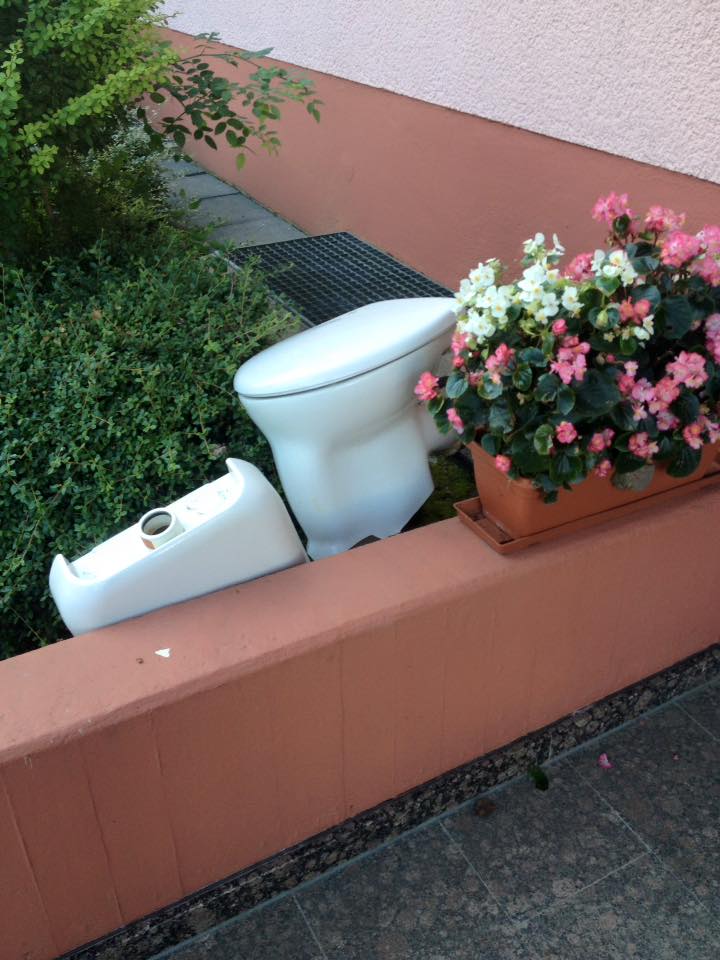 13938357_1230345950318004_4087161577415121697_n