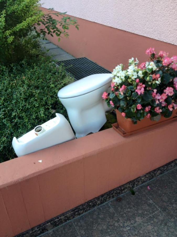 13938357_1230345950318004_4087161577415121697_n