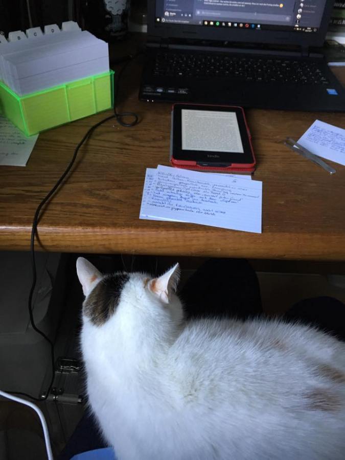 20294396_929920130482570_7002300873618075183_n