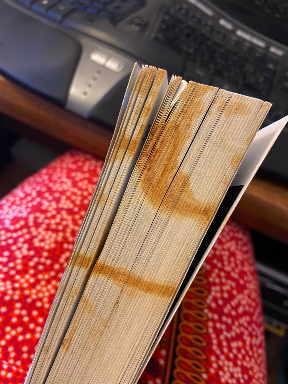 Ansicht der geschlossenen Seiten eines Buchs mit bräunlichen und orangefarbenen Flecken. Im Hintergrund unscharf gepunktete Beine und eine Tastatur.