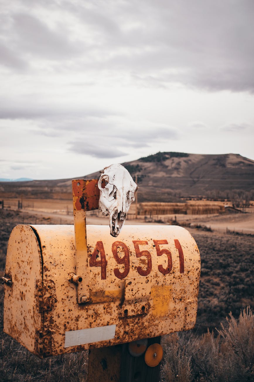 pexels-photo-1816229