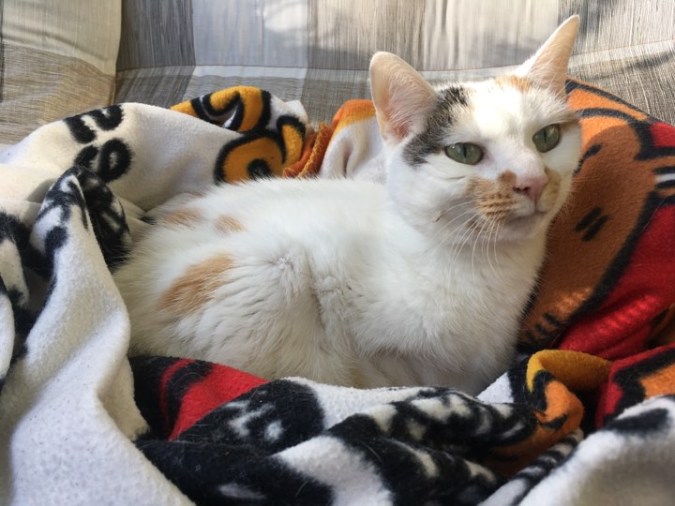 73390695_716539972155628_1484118153767157760_n