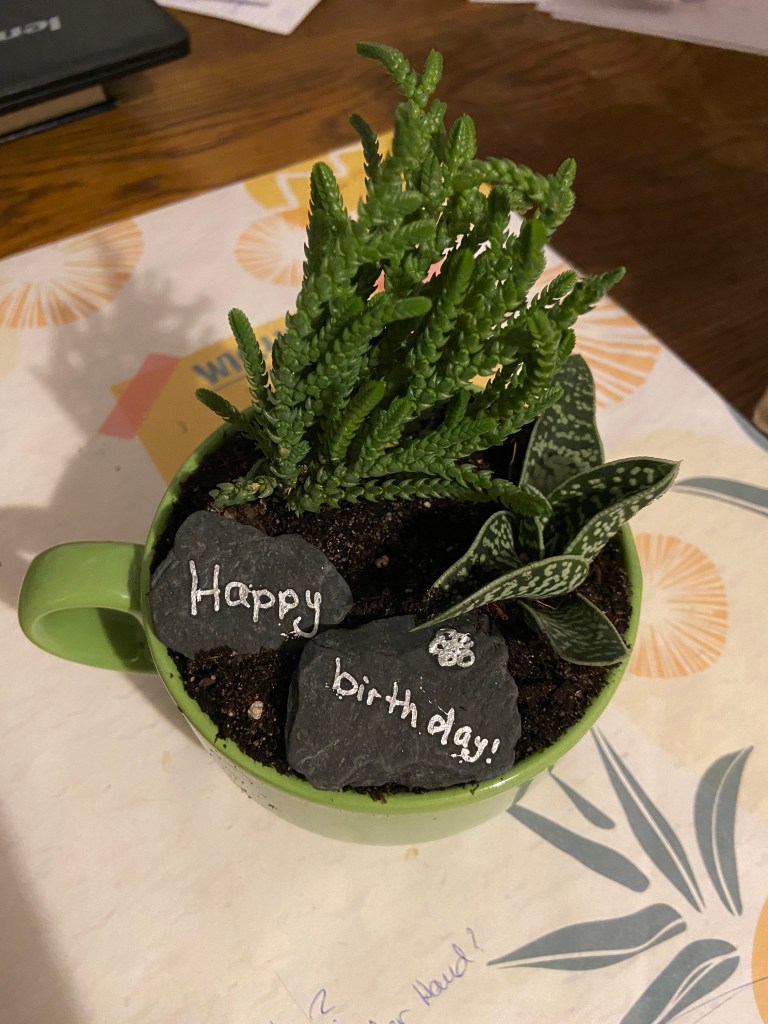In einem grünen Kaffeebecher stehen zwei kleine Dickblattpflanzen (ein Crassula-Geldbaum und eine ... äh, Dingens). Davor liegen zwei kleine Schieferplättchen mit silberner Aufschrift. Auf einer steht HAPPY, auf der anderen BIRTHDAY! - die zweite ist mit einer kleinen silbernen Blume verziert.