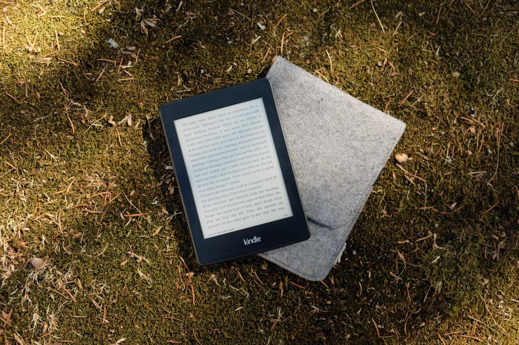 Auf moosigem Untergrund liegt ein Kindle, auf dem eine Buchseite aufgeschlagen ist, schräg auf einer hellgrauen Filzhülle.