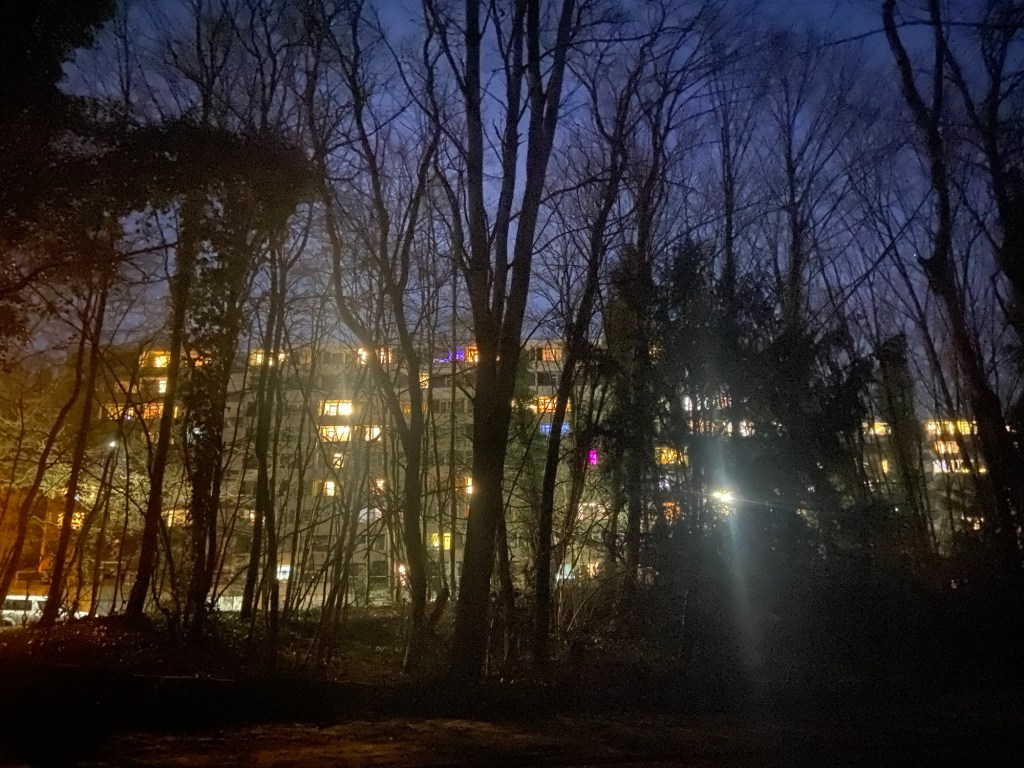 Nahctaufnahme eines Hochhauses, durch eine Reihe schlanger Bäume hindurch fotorgrafiert. Man sieht viele bunter Lichter.